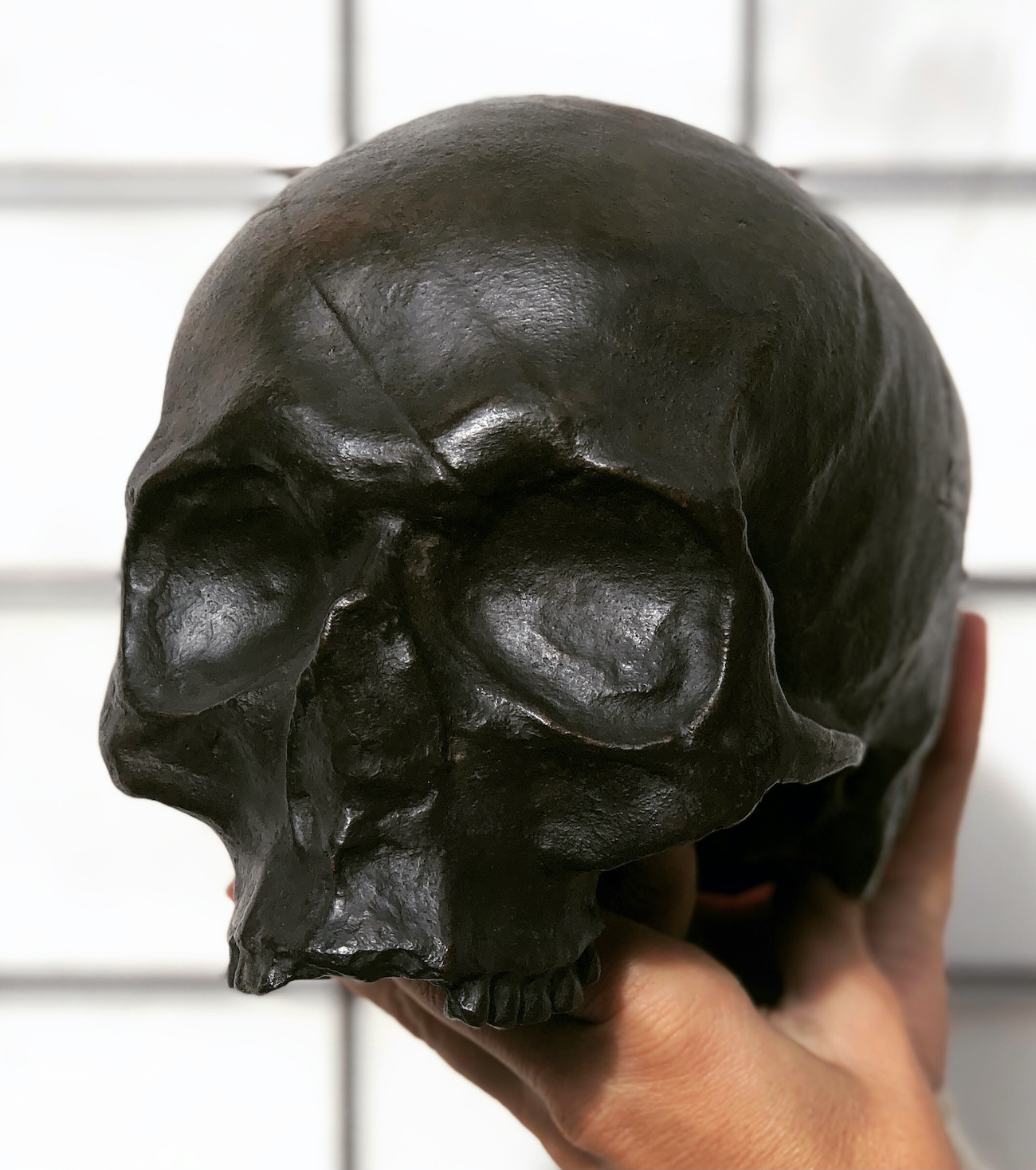Crâne moulé à partir d'un authentique crâne humain